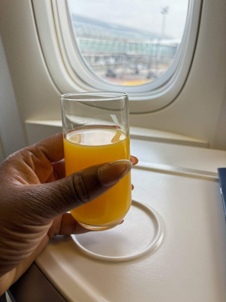 Japan Airlines Mileage Bank