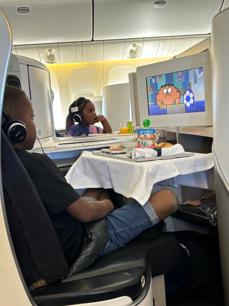 Japan Airlines Mileage Bank