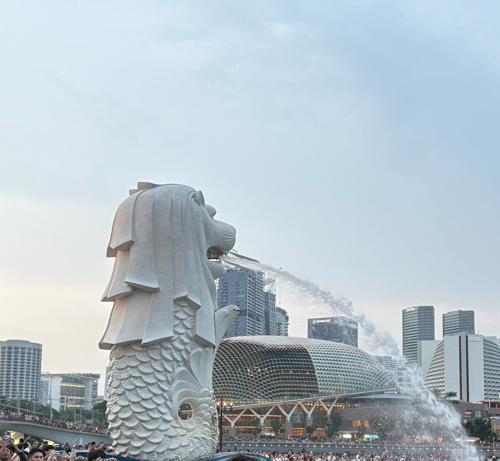 Credit Card Offers 2026