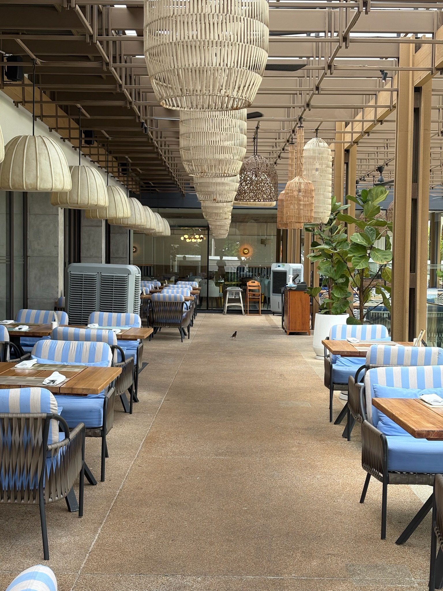 2026 transfer bonuses