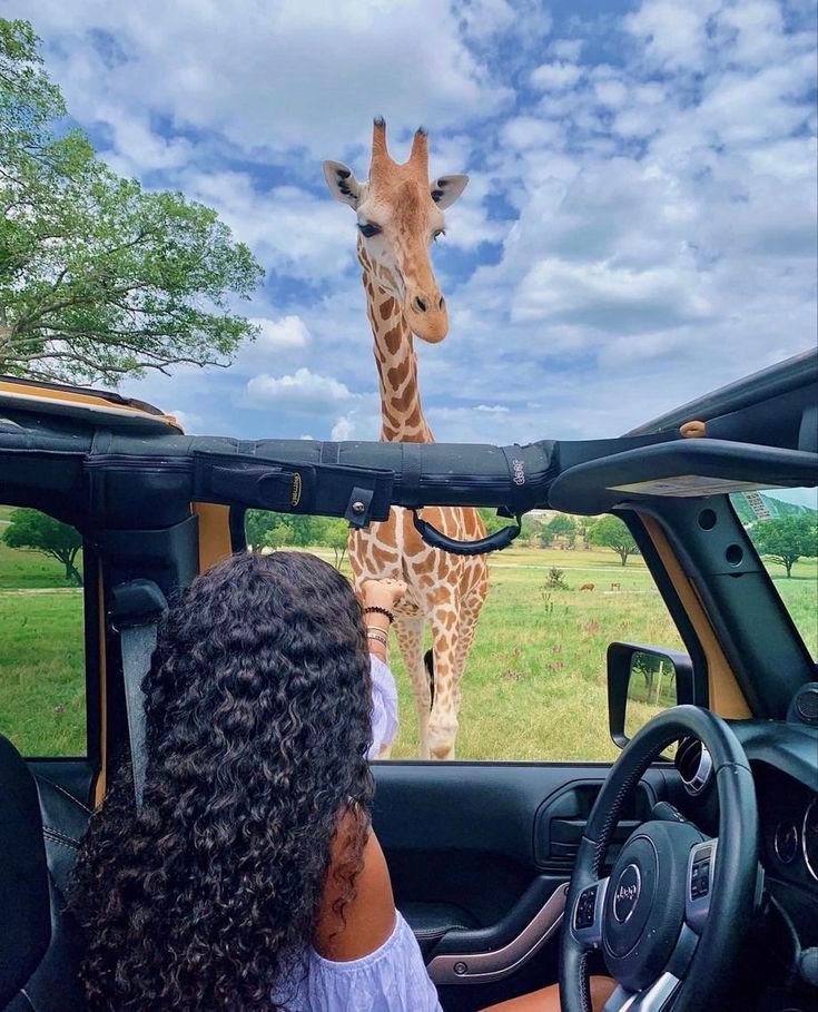 Current Transfer Bonuses December 2025