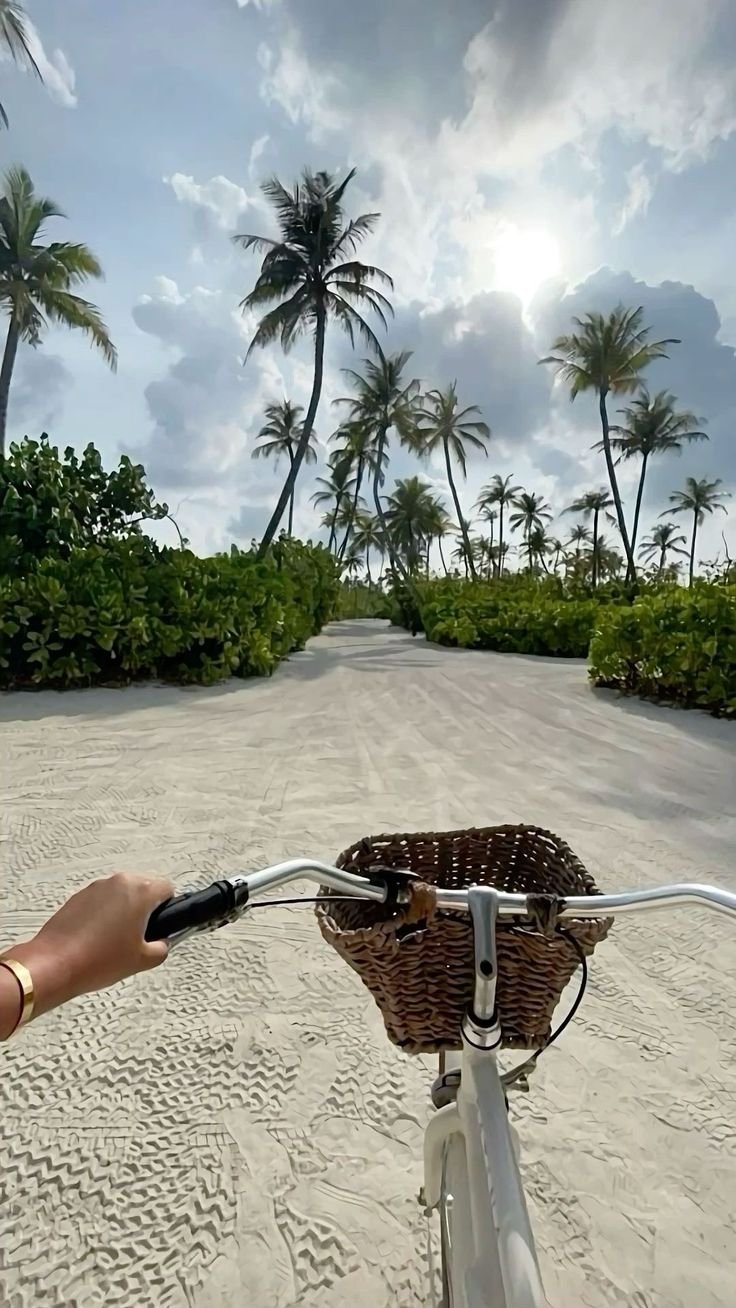 Current Transfer Bonuses December 2025